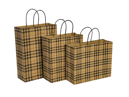 Shopping Paper Bags With Your Logo