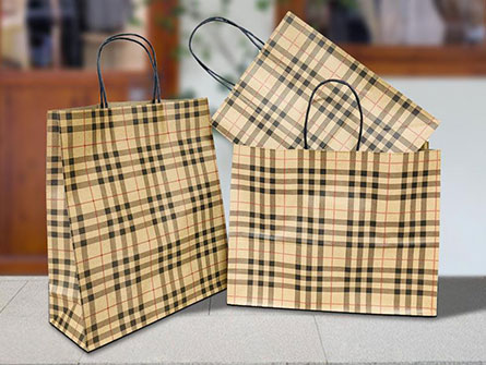 Shopping Paper Bags With Your Logo