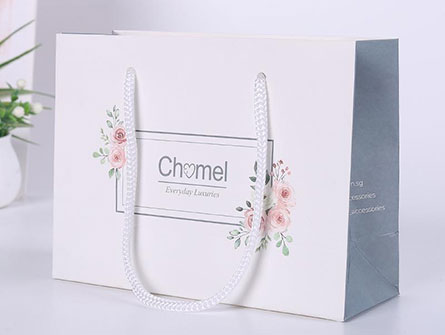 Luxury Gift Shopping Paper Bags