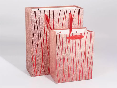 Bronzing Style Paper Bags