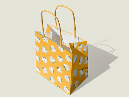 Reusable Tote Shopping Bags