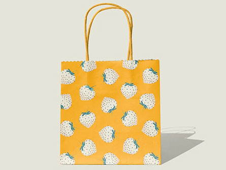 Reusable Tote Shopping Bags