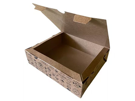 Disposable Brown Kraft Paper Lunch Box