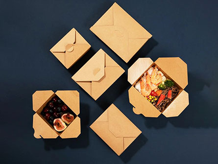 Biodegradable Paper Lunch Box