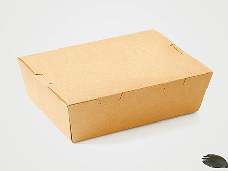 Kraft Paper Salad Box